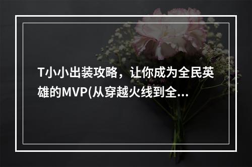 T小小出装攻略，让你成为全民英雄的MVP(从穿越火线到全民英雄，小枪在手，天下我有)(科学出装让你在全民英雄中游刃有余，未来就在你手中(科学出装，必成大牛))