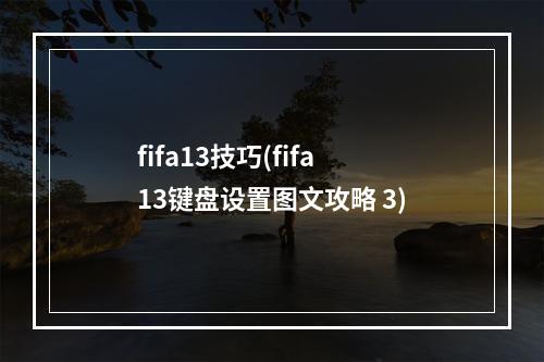 fifa13技巧(fifa13键盘设置图文攻略 3)