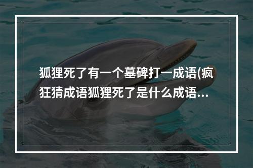 狐狸死了有一个墓碑打一成语(疯狂猜成语狐狸死了是什么成语 看图猜成语狐狸之墓打)