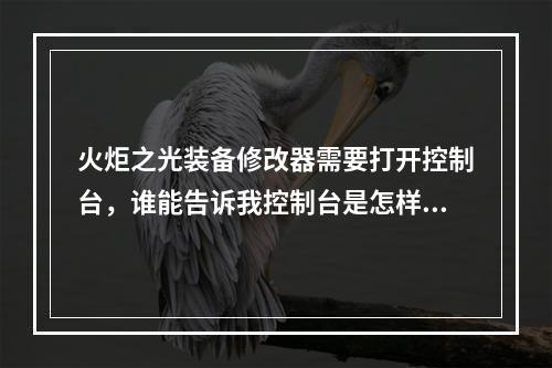 火炬之光装备修改器需要打开控制台，谁能告诉我控制台是怎样打开的，或者加QQ25000365小弟感激不尽(火炬光装备修改)