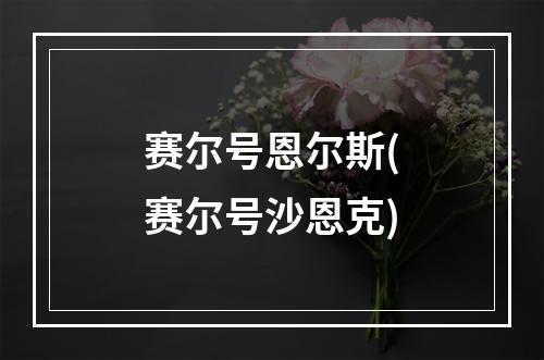 赛尔号恩尔斯(赛尔号沙恩克)