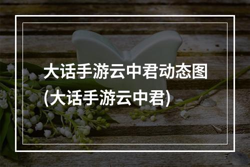 大话手游云中君动态图(大话手游云中君)