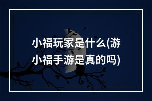 小福玩家是什么(游小福手游是真的吗)