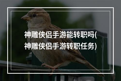 神雕侠侣手游能转职吗(神雕侠侣手游转职任务)