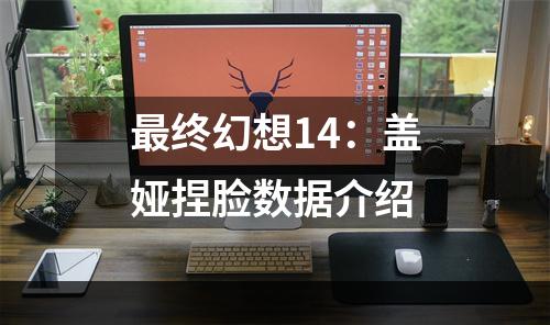 最终幻想14：盖娅捏脸数据介绍