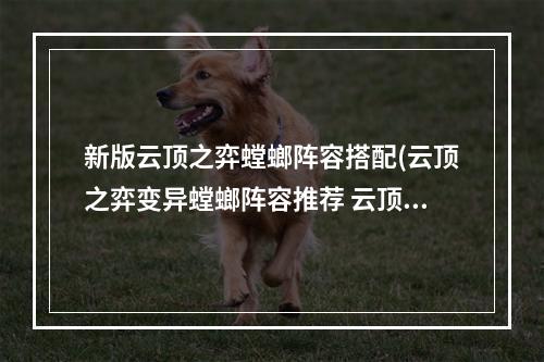 新版云顶之弈螳螂阵容搭配(云顶之弈变异螳螂阵容推荐 云顶之弈手游S6.5变异巨像)