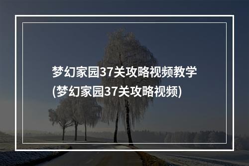 梦幻家园37关攻略视频教学(梦幻家园37关攻略视频)