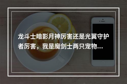 龙斗士暗影月神厉害还是光翼守护者厉害，我是魔剑士两只宠物都有(魔剑守护者)