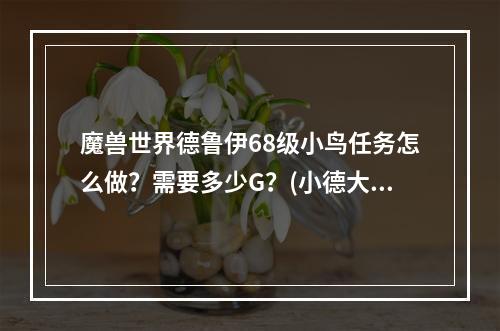 魔兽世界德鲁伊68级小鸟任务怎么做？需要多少G？(小德大鸟任务)