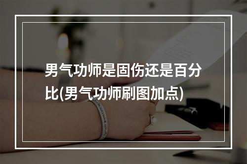 男气功师是固伤还是百分比(男气功师刷图加点)