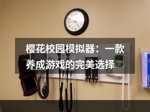 樱花校园模拟器：一款养成游戏的完美选择