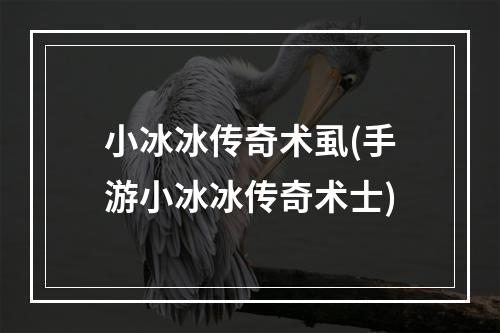 小冰冰传奇术虱(手游小冰冰传奇术士)