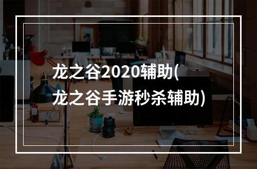 龙之谷2020辅助(龙之谷手游秒杀辅助)