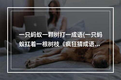 一只蚂蚁一颗树打一成语(一只蚂蚁扛着一根树枝《疯狂猜成语》答案是什么  )