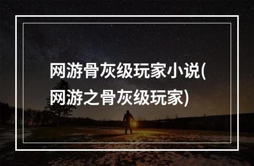 网游骨灰级玩家小说(网游之骨灰级玩家)