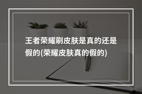 王者荣耀刷皮肤是真的还是假的(荣耀皮肤真的假的)