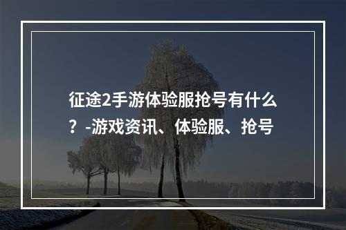 征途2手游体验服抢号有什么？-游戏资讯、体验服、抢号