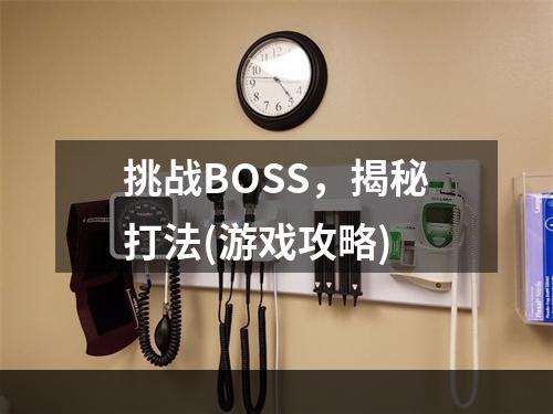 挑战BOSS，揭秘打法(游戏攻略)