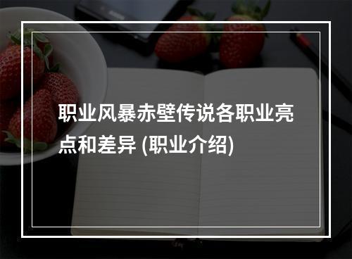 职业风暴赤壁传说各职业亮点和差异 (职业介绍)