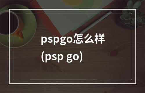 pspgo怎么样(psp go)