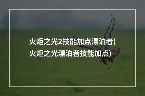 火炬之光2技能加点漂泊者(火炬之光漂泊者技能加点)