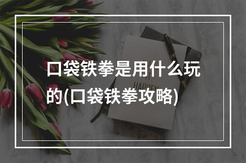 口袋铁拳是用什么玩的(口袋铁拳攻略)