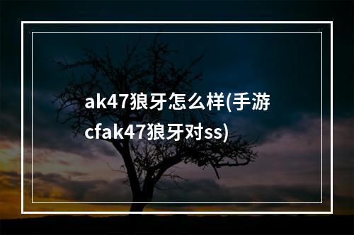 ak47狼牙怎么样(手游cfak47狼牙对ss)