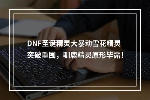 DNF圣诞精灵大暴动雪花精灵突破重围，驯鹿精灵原形毕露！