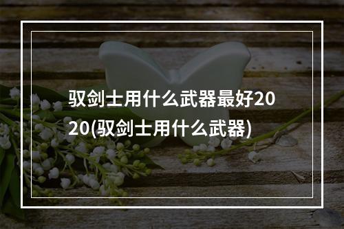 驭剑士用什么武器最好2020(驭剑士用什么武器)