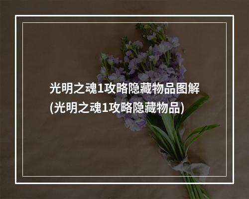 光明之魂1攻略隐藏物品图解(光明之魂1攻略隐藏物品)