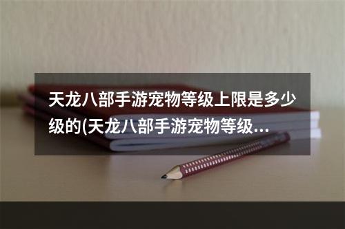 天龙八部手游宠物等级上限是多少级的(天龙八部手游宠物等级上限是多少级)