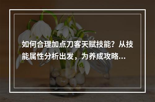 如何合理加点刀客天赋技能？从技能属性分析出发，为养成攻略打下坚实基础(天赋技能加点、属性)