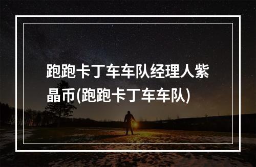 跑跑卡丁车车队经理人紫晶币(跑跑卡丁车车队)