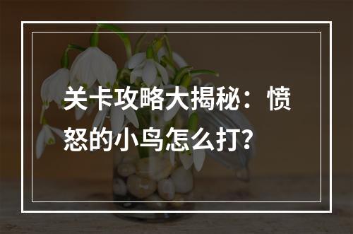 关卡攻略大揭秘：愤怒的小鸟怎么打？