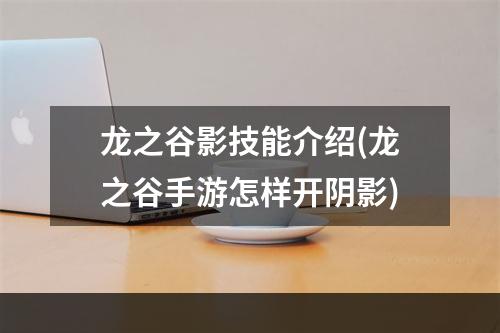 龙之谷影技能介绍(龙之谷手游怎样开阴影)