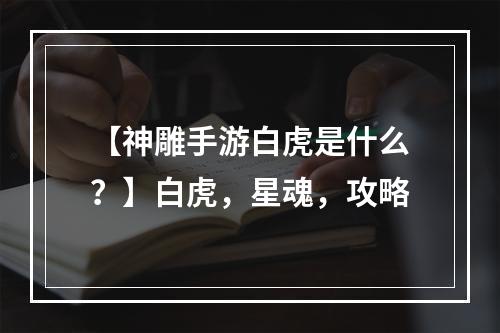 【神雕手游白虎是什么？】白虎，星魂，攻略