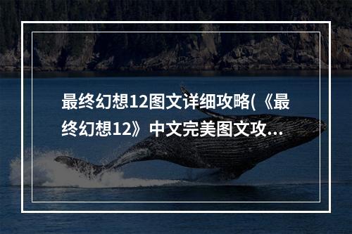 最终幻想12图文详细攻略(《最终幻想12》中文完美图文攻略 各地区地图及怪物讨伐图文)