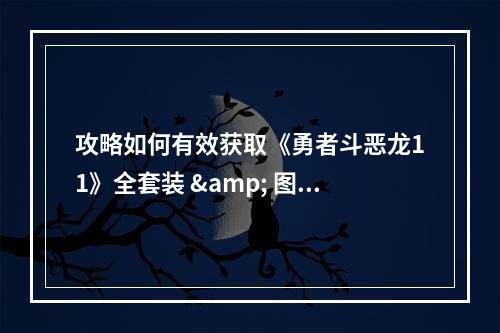 攻略如何有效获取《勇者斗恶龙11》全套装 & 图鉴卡缪盗贼王 只需21天？