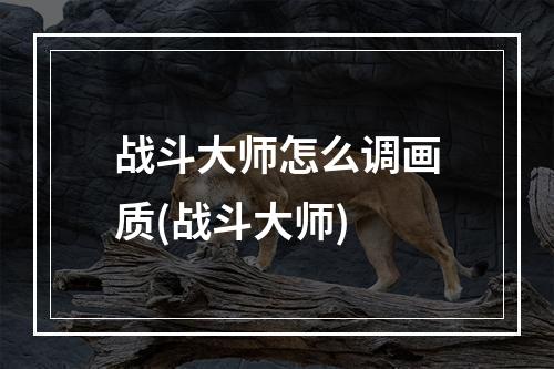 战斗大师怎么调画质(战斗大师)