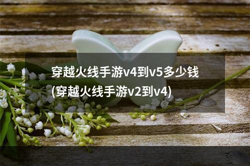 穿越火线手游v4到v5多少钱(穿越火线手游v2到v4)