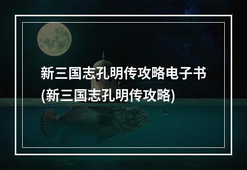 新三国志孔明传攻略电子书(新三国志孔明传攻略)