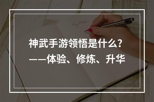 神武手游领悟是什么？——体验、修炼、升华