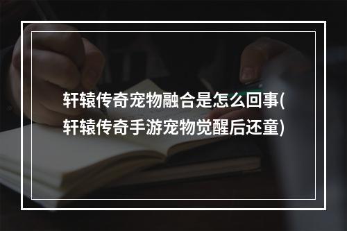 轩辕传奇宠物融合是怎么回事(轩辕传奇手游宠物觉醒后还童)