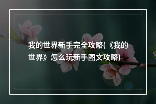 我的世界新手完全攻略(《我的世界》怎么玩新手图文攻略)