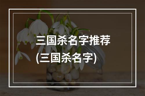 三国杀名字推荐(三国杀名字)