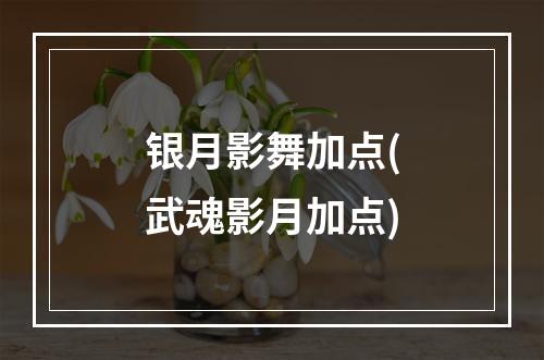 银月影舞加点(武魂影月加点)