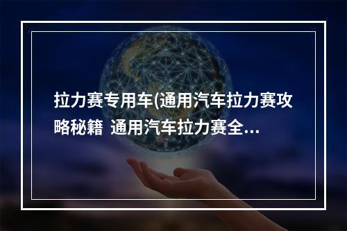 拉力赛专用车(通用汽车拉力赛攻略秘籍  通用汽车拉力赛全攻略  通用)