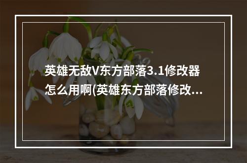 英雄无敌V东方部落3.1修改器怎么用啊(英雄东方部落修改器)