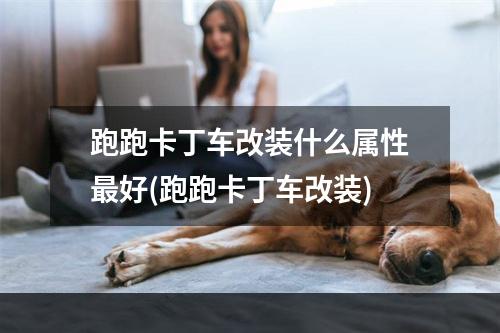 跑跑卡丁车改装什么属性最好(跑跑卡丁车改装)