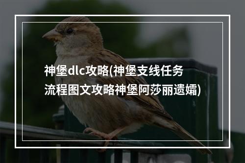 神堡dlc攻略(神堡支线任务流程图文攻略神堡阿莎丽遗孀)